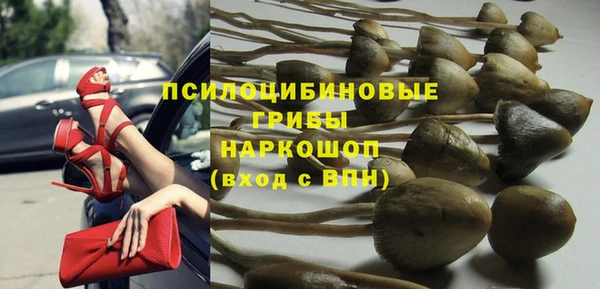 дмт Козельск