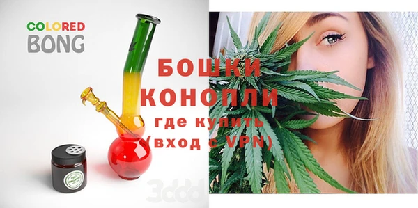 дмт Козельск