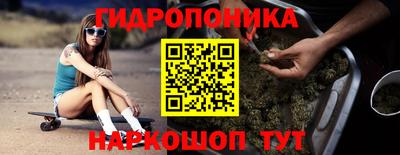 амф Донской