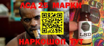 амф Донской