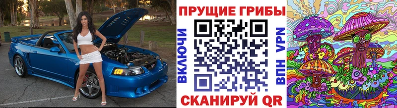 Галлюциногенные грибы Cubensis  Михайловка 