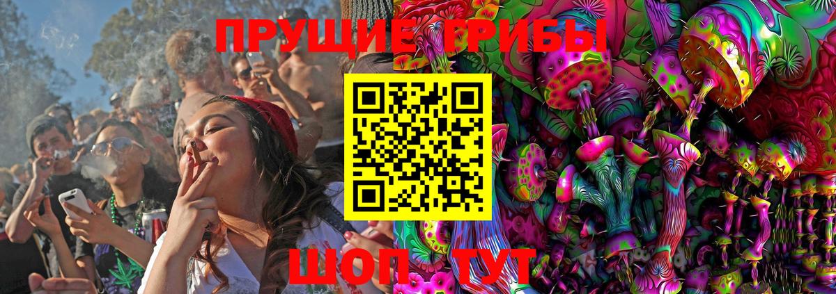 Галлюциногенные грибы Cubensis  Михайловка 