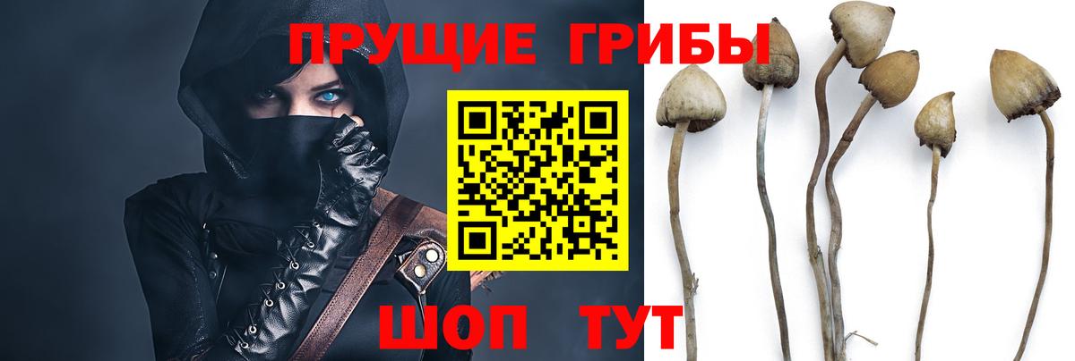 Галлюциногенные грибы ЛСД  Вход с VPN  Михайловка 