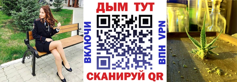 Марихуана сатива  как найти закладки  Михайловка 